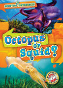 Octopus or Squid? cover