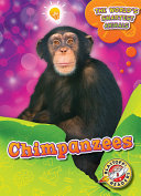 Chimpanzees cover