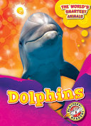 Dolphins cover