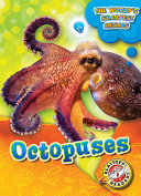 Octopuses cover