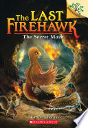 The Secret Maze cover