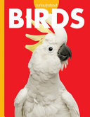 Curious About Birds cover
