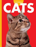 Curious About Cats cover
