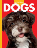 Curious About Dogs cover