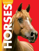 Curious About Horses cover