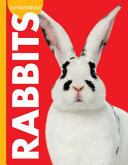 Curious About Rabbits cover