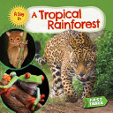A Tropical Rainforest cover