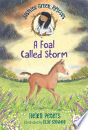 Jasmine Green Rescues: A Foal Called Storm cover