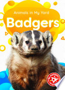 Badgers cover