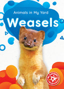 Weasels cover