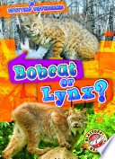 Bobcat or Lynx? cover