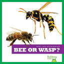 Bee or Wasp? cover