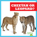 Cheetah or Leopard? cover