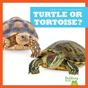 Turtle or Tortoise? cover