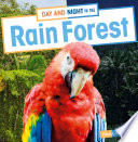 Day and Night in the Rainforest cover