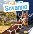Day and Night in the Savanna cover