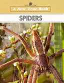 Spiders cover