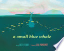 A Small Blue Whale cover