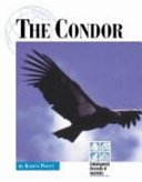The Condor cover