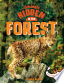 Animals Hidden in the Forest cover