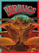 Bedbugs cover