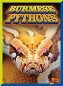 Burmese Pythons cover