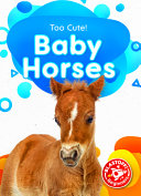 Baby Horses cover