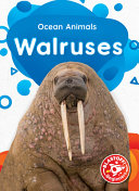 Walruses cover