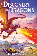 A Discovery of Dragons cover
