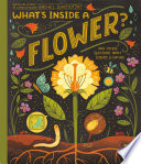 What's Inside a Flower? And Other Questions About Science and Nature cover