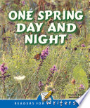 One Spring Day and Night cover