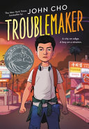 Troublemaker cover