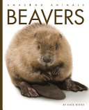 Beavers (2023 edition) cover