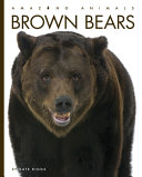 Brown Bears (2023 edition) cover