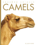 Camels (2023 edition) cover
