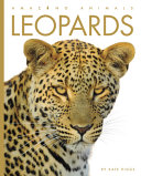 Leopards (2023 edition) cover