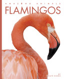 Flamingos (2023 edition) cover