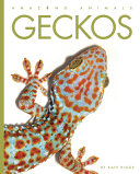 Geckos (2023 edition) cover