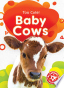 Baby Cows cover
