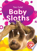 Baby Sloths cover