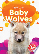 Baby Wolves cover