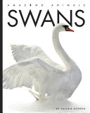 Swans (2023 edition) cover