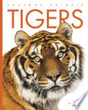 Tigers (2023 edition) cover