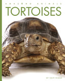 Tortoises (2023 edition) cover