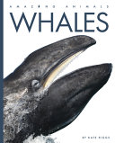 Whales (2023 edition) cover