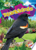 Blackbirds cover