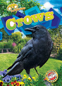 Crows cover