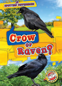 Crow or Raven? cover