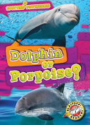 Dolphin or Porpoise? cover