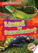 Lizard or Salamander? cover